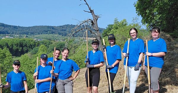 An drei Tagen räumten die ungarischen Jugendlichen gemeinsam mit ihren Betreuerinnen und Mitarbeiterinnen der unteren Naturschutzbehörde Mahdgut ab.