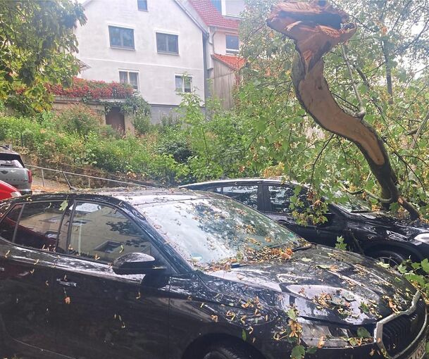 In Ingersheim ist ein Baum auf Autos gekracht.