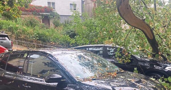In Ingersheim ist ein Baum auf Autos gekracht.