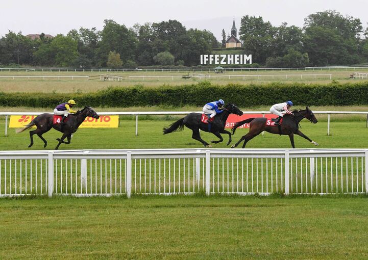 Galopp Galopp