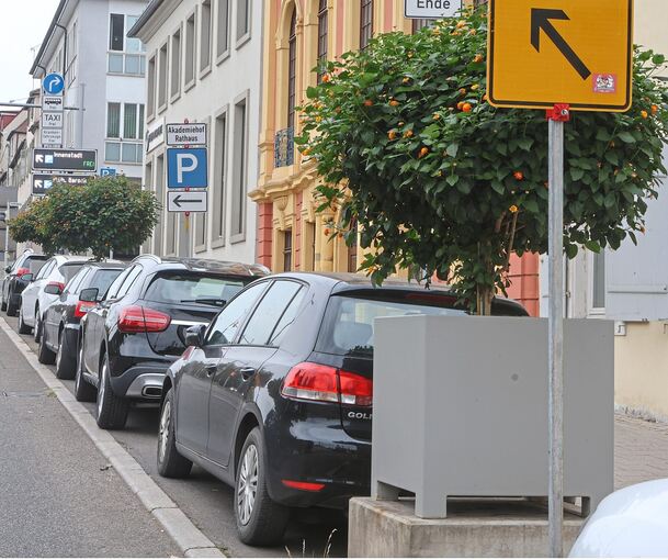 Blumenkübel pflastern ihren Weg: Die leeren Sockel hat die Stadt nun mit Pflanzen bestückt.