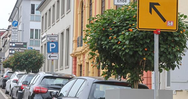 Blumenkübel pflastern ihren Weg: Die leeren Sockel hat die Stadt nun mit Pflanzen bestückt.