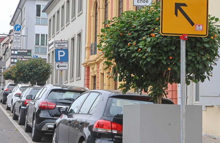 Blumenkübel pflastern ihren Weg: Die leeren Sockel hat die Stadt nun mit Pflanzen bestückt.