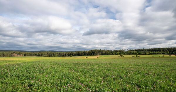 Wetter in Baden-Württemberg