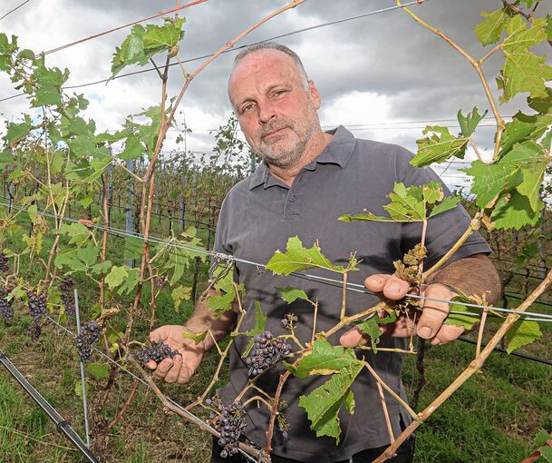 Andreas Roth betreibt das Bio-Weingut Forsthof. Seine Hauptanlage in Kleinbottwar wurde voll vom Unwetter getroffen.