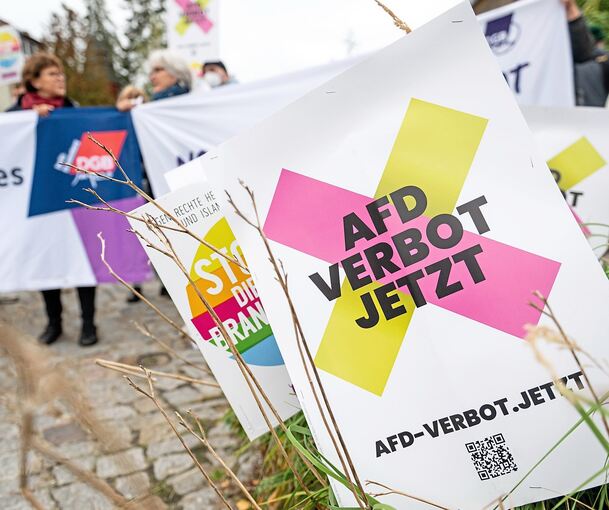 Sollte das Bundesverfassungsgericht ein AfD-Verbot prüfen? Es gibt Juristen, die am Erfolg eines Verbotsantrags zweifeln - aber auch viele, die ihn für begründet und aussichtsreich halten.