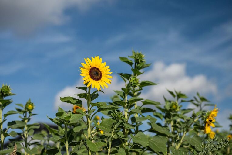 Meteorologischer Herbstanfang Meteorologischer Herbstanfang
