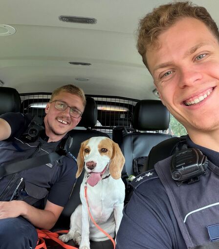 Beagle auf Autobahn gerettet - Flecki mit Herrchen vereint Beagle auf Autobahn gerettet - Flecki mit Herrchen vereint