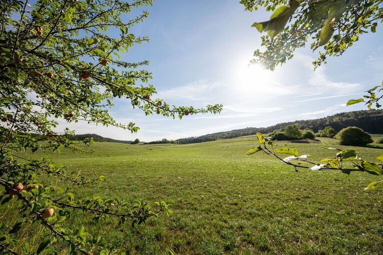 Sonne zurück Sonne zurück
