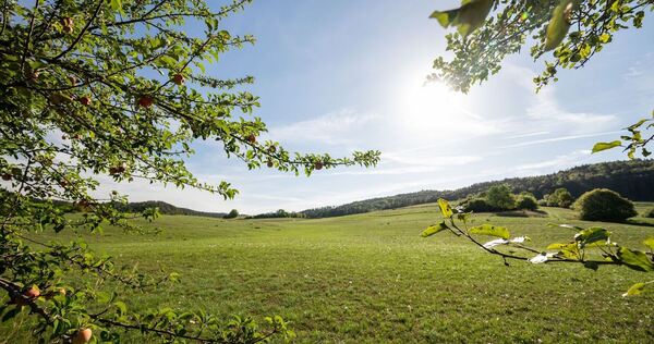 Sonne zurück Sonne zurück