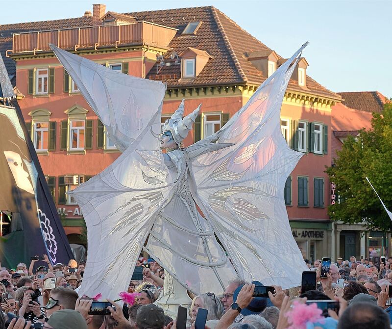 Der Marktplatz in Ludwigsburg war voll mit Menschen.