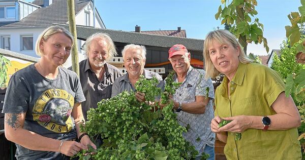 Sechs Hopfenstangen wurden im Garten von Klaus Kling (Mitte) gezupft. Es kam einiges an Dolden zusammen. Sechs Hopfenstangen wurden im Garten von Klaus Kling (Mitte) gezupft. Es kam einiges an Dolden zusammen.