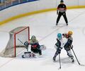 Ein Bietigheimer im Falken-Tor: Keanu Salmik zeigt im Derby eine starke Leistung und belohnt sich dafür mit einem Shutout. Sceenreader