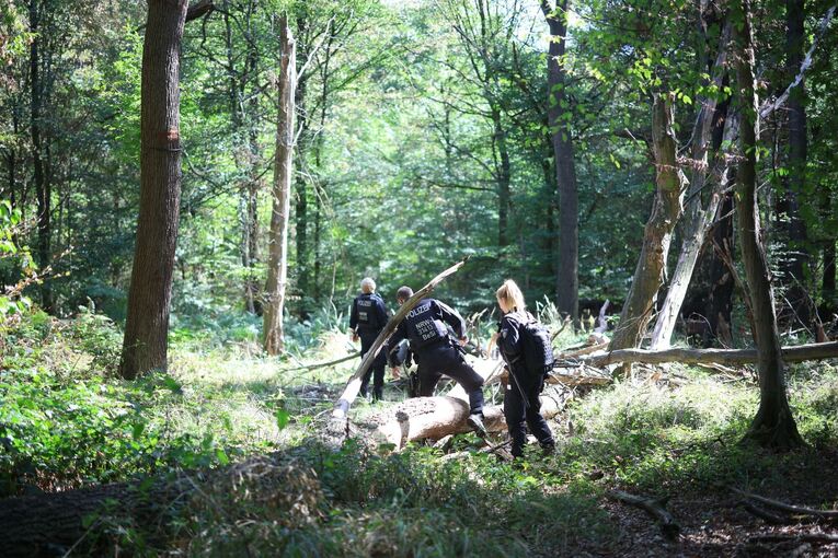 Strom-Sabotage: Suche nach Verdächtigem am Hambacher Forst