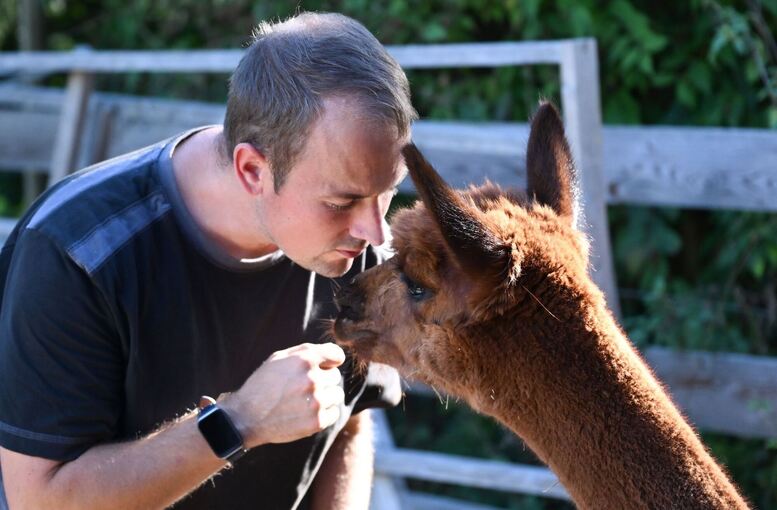 Alpaka Tierhalter Patrick Stellmach