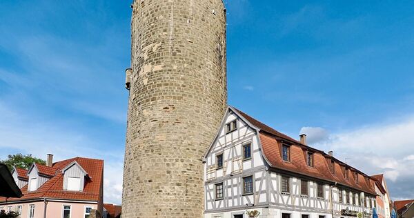 Das Waldhornareal befindet sich rund um den Waldhornturm. Letzterer steht allerdings nicht zum Verkauf.