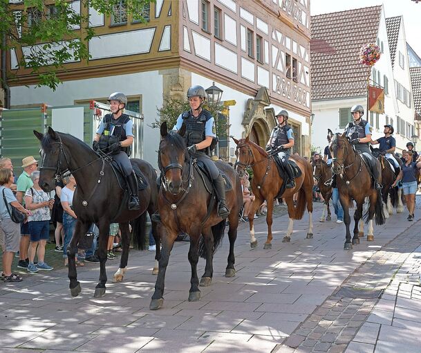 Pferde im Umzug – bei Zuschauern beliebt, Tierrechtsorganisationen aber ein Dorn im Auge.