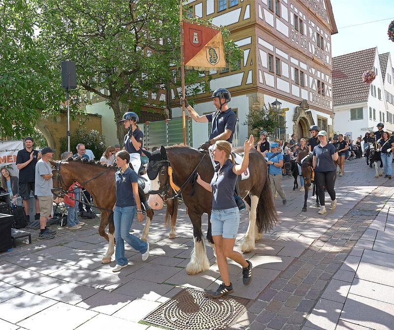 Pferde sind bei dem Umzug viele zu sehen.