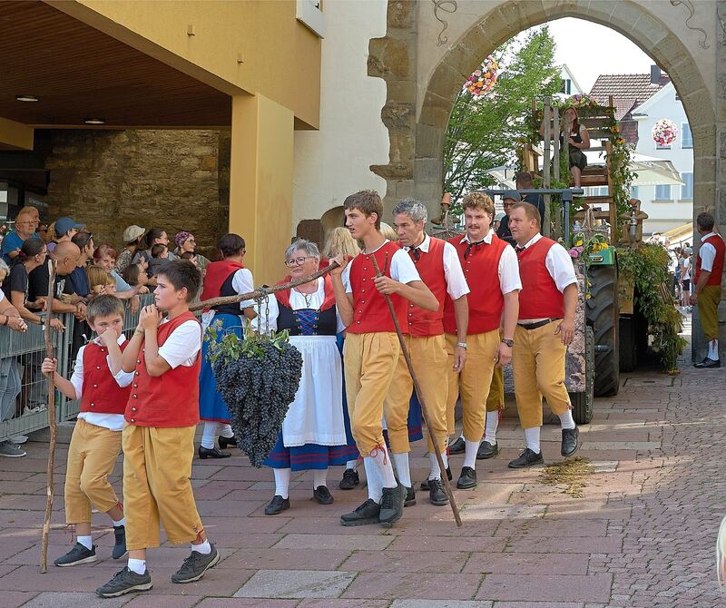 Hier nur en miniature: die Kalebstraube aus Besigheim.