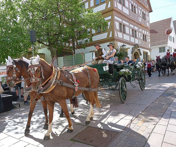 Geschmückte Kutschen ziehen durch die Bietigheimer Altstadt.