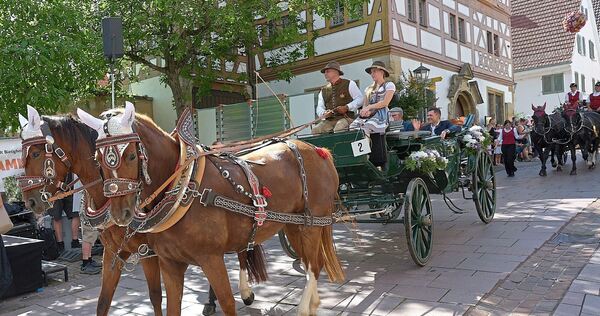Geschmückte Kutschen ziehen durch die Bietigheimer Altstadt.