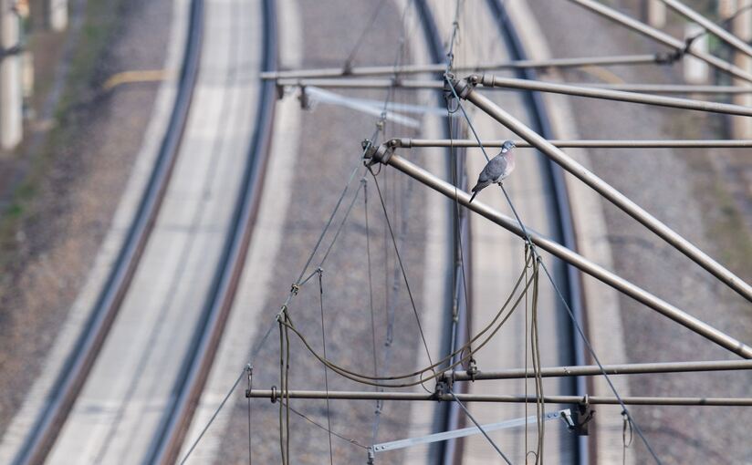 Oberleitungsschaden bei Hannover behoben Oberleitungsschaden bei Hannover behoben