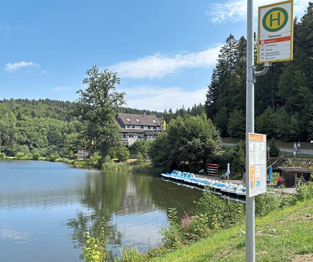 Zum Ebnisee in Kaisersbach (Rems-Murr-Kreis) kann man nicht nur mit dem Auto, sondern auch mit dem ÖPNV gelangen.