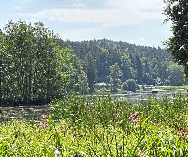 Der Blick auf den See von „Rader’s Waldschänke“ aus.