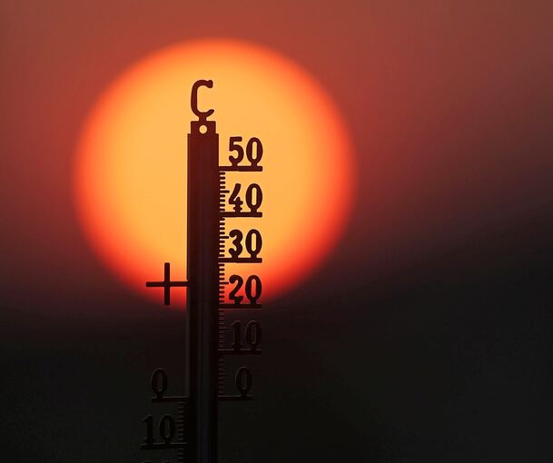 Die Temperaturen in diesem Sommer überboten mit mehr als 41 Grad die bisherigen Rekordwerte.