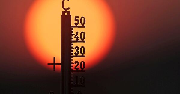 Die Temperaturen in diesem Sommer überboten mit mehr als 41 Grad die bisherigen Rekordwerte. Die Temperaturen in diesem Sommer überboten mit mehr als 41 Grad die bisherigen Rekordwerte.