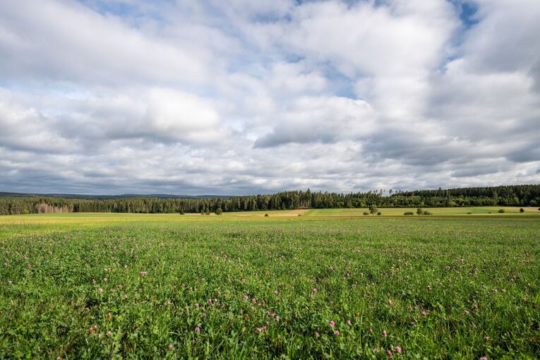 Wetter in Baden-Württemberg