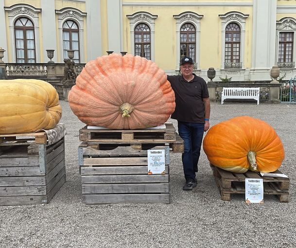 Matthias Würschings Atlantic Giant (Mitte) war beim ersten Kürbiswiegen im Blüba das gewichtigste Teilnehmergemüse.