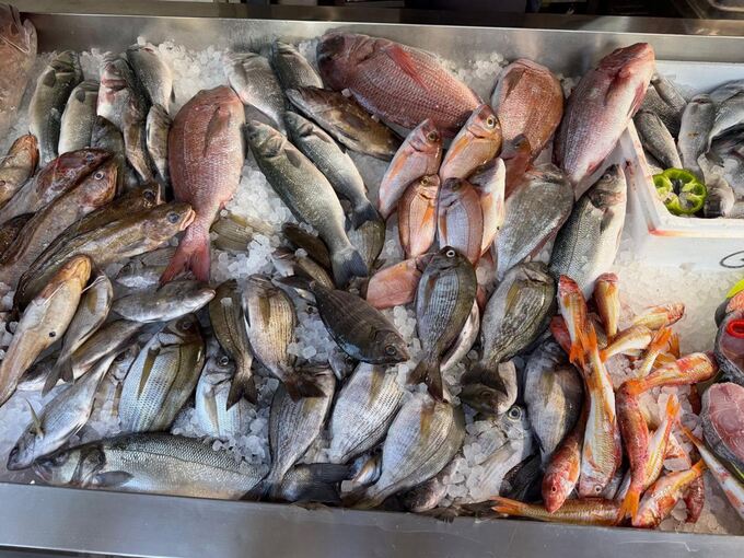 Frischer Fisch in Griechenland Frischer Fisch in Griechenland