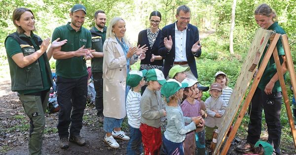 Busy Path in Brandholz: What children learn at the Forest Olympics