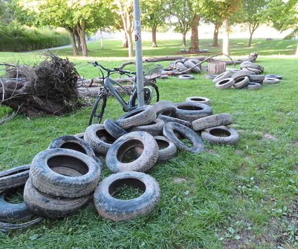 Traurige Ausbeute: Diese Reifen, sowie noch mehr anderer Müll, wurden bei Vaihingen aus der Enz gezogen.