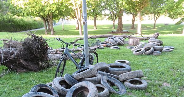 Traurige Ausbeute: Diese Reifen, sowie noch mehr anderer Müll, wurden bei Vaihingen aus der Enz gezogen. Traurige Ausbeute: Diese Reifen, sowie noch mehr anderer Müll, wurden bei Vaihingen aus der Enz gezogen.