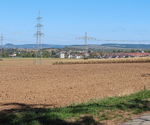 Blick von der Anhöhe an der Lechtstraße Richtung Marbach-Hörnle. Auf diesem Areal könnte die Deponie entstehen.