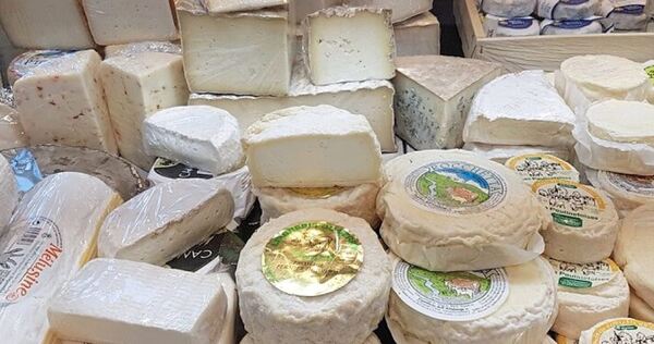 Blick in die Auslage von Käse-Haas.
