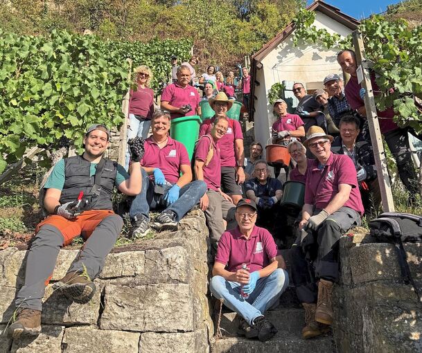 Durchschnaufen im Weinberg, bevor es wieder an die Arbeit geht: die Mitglieder des Projekts Heldenschmiede.