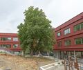 Die Fertigstellung der Gründelbachschule in Freiberg steht unmittelbar bevor. Ab 2. November wird dort unterrichtet.