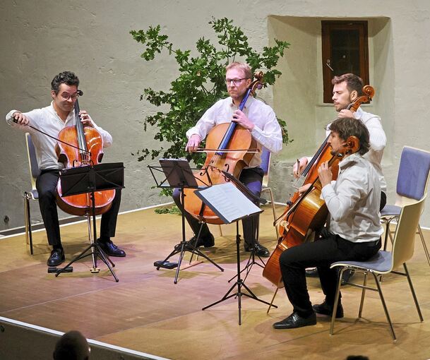 Buntes Programm zwischen Oper und Crossover: Das Almaviva Cello Quartett in Freiberg.
