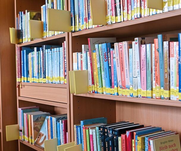 Das Ausleihen von Büchern und ähnlichen Medien wird in Löchgau gerne in Anspruch genommen.