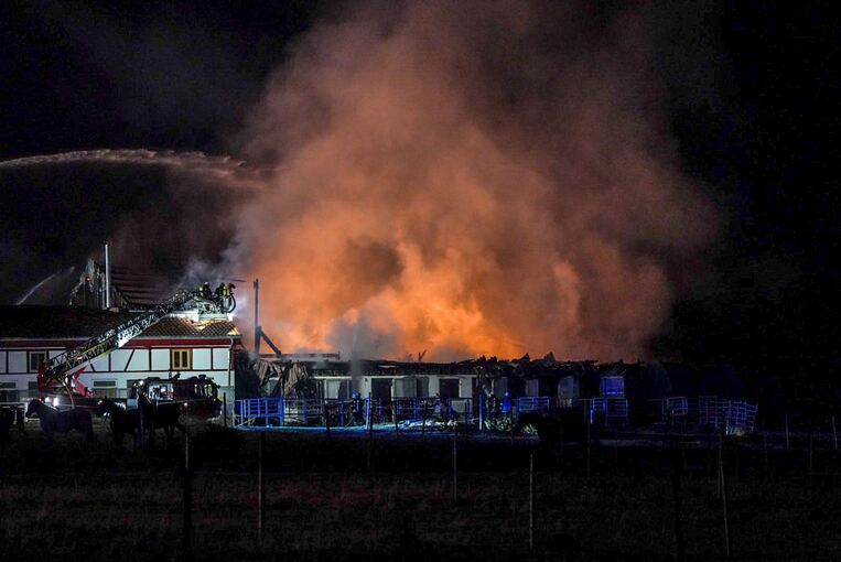 Großbrand auf landwirtschaftlichen Anlage in Tübingen Großbrand auf landwirtschaftlichen Anlage in Tübingen