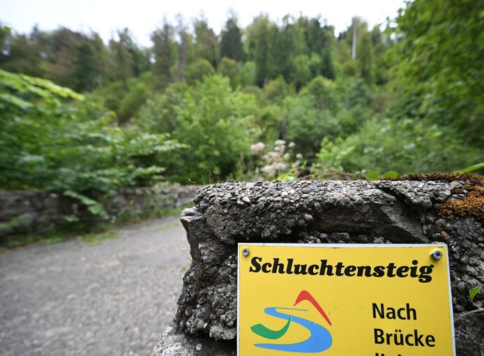 Vermisstenfall Scarlett Vermisstenfall Scarlett