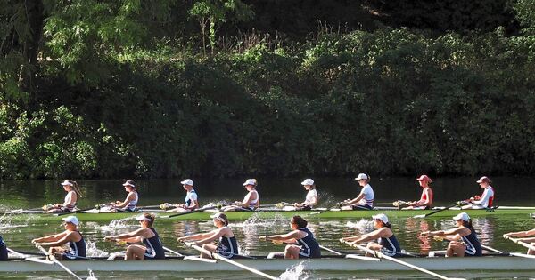 423 rowers compete for best times at the Marbach Regatta
