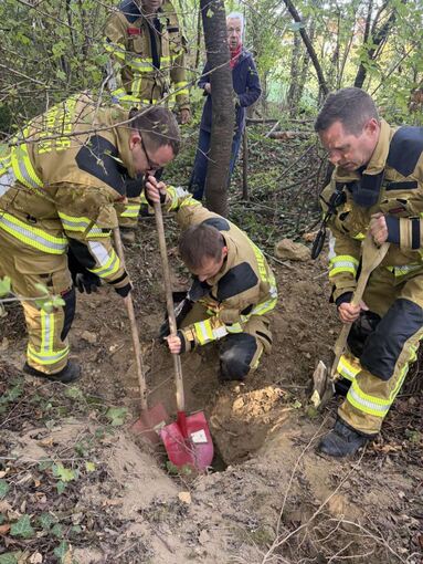 Feuerwehr rettet Hund in Heilbronn Feuerwehr rettet Hund in Heilbronn
