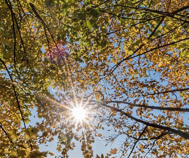 Sommerliche Temperaturen im Herbst.