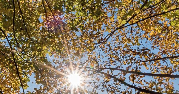 Sommerliche Temperaturen im Herbst.
