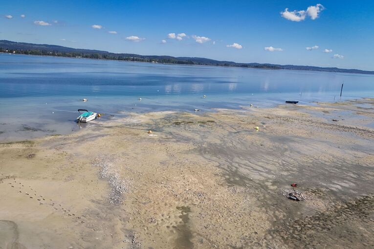 Spätsommer am Bodensee - Trockenheit Spätsommer am Bodensee - Trockenheit