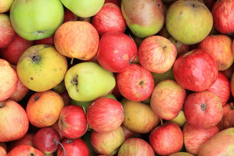 Äpfel